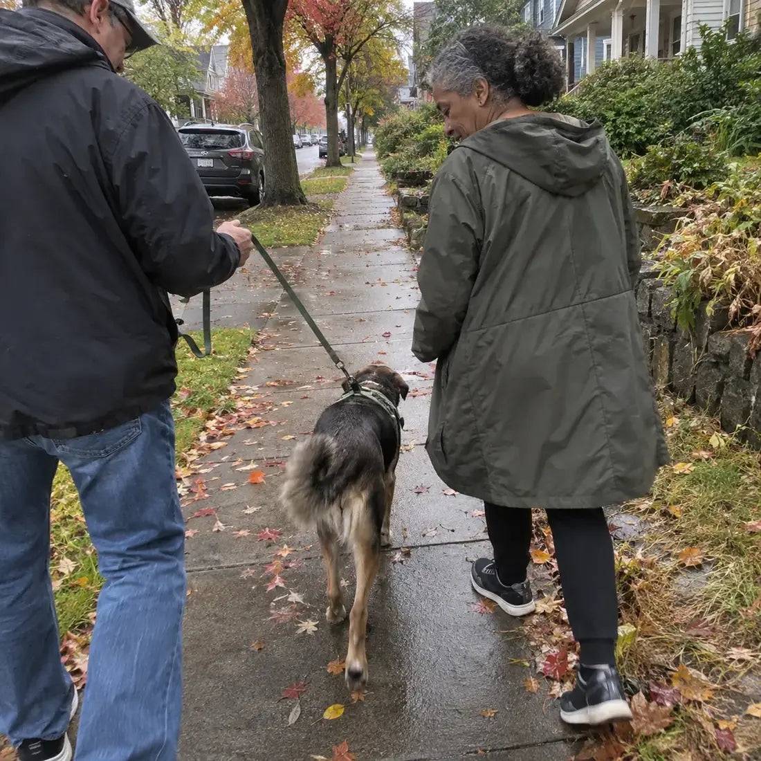 Couple walking their dog after rain
